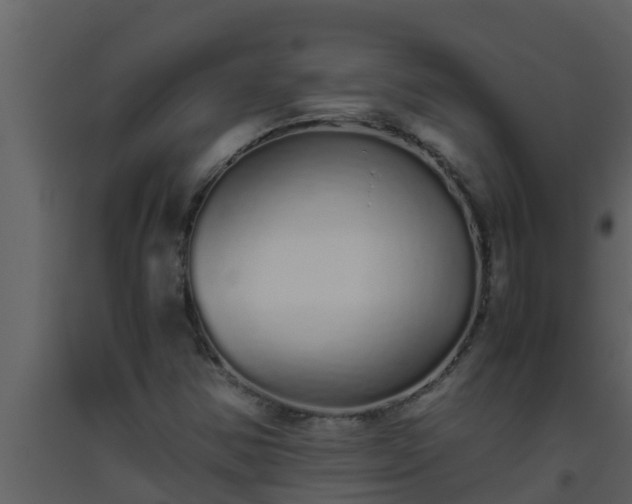 X0000093531354200710191345