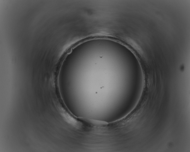 X0000093531356200710191345