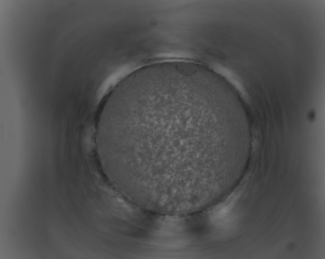 X0000093531357200710191345
