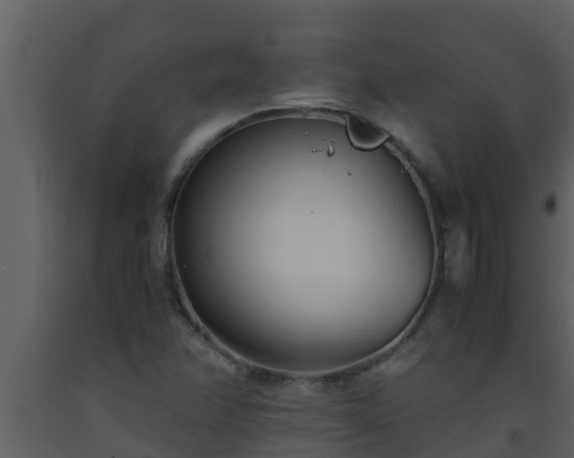X0000093531358200710191345