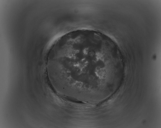 X0000093531359200710191344