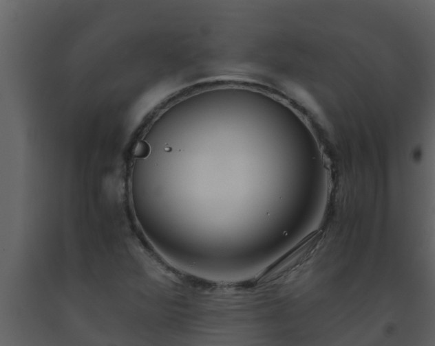X0000093531360200710191344