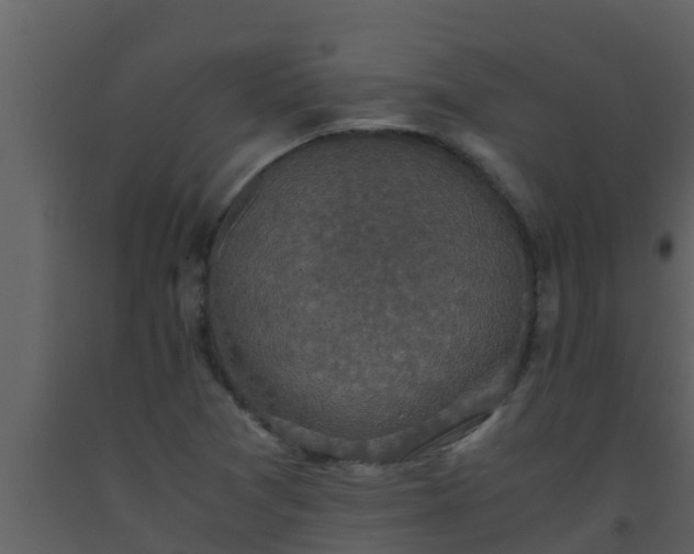 X0000093531361200710191344