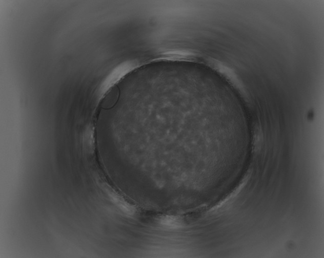 X0000093531362200710191344