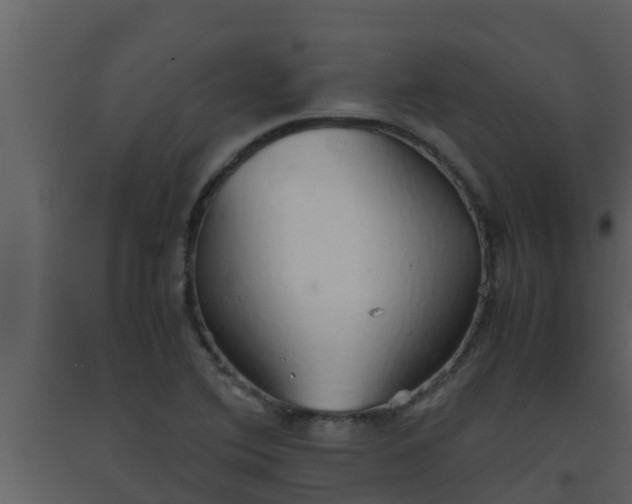 X0000093531364200710191344