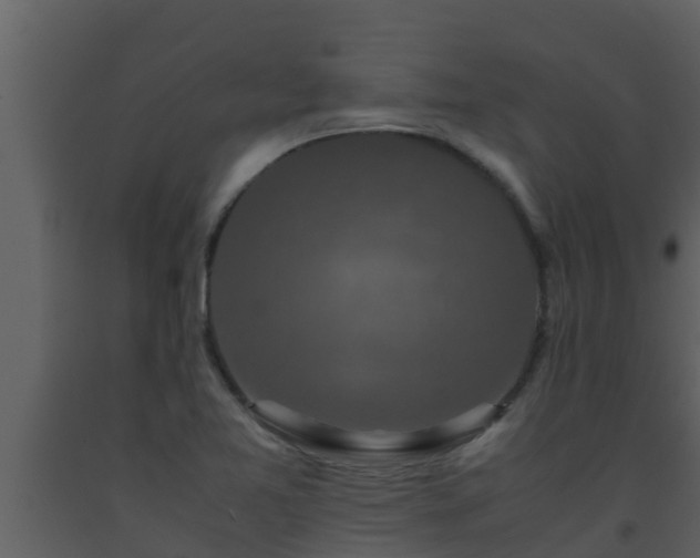 X0000093531365200710191344