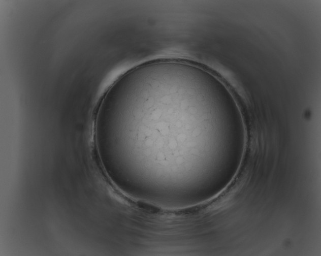 X0000093531366200710191344
