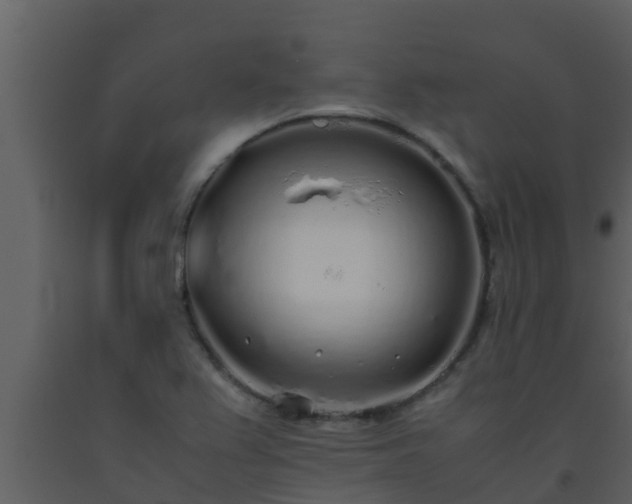 X0000093531367200710191344