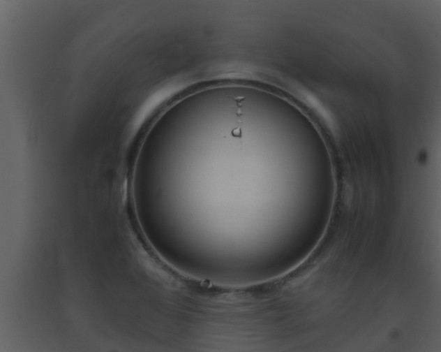 X0000093531368200710191344