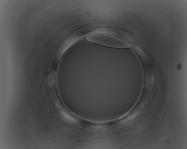 X0000093531369200710191344