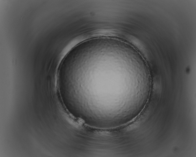 X0000093531370200710191344
