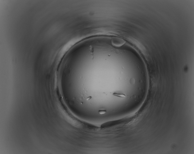 X0000093531371200710191344