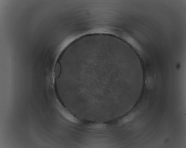X0000093531372200710191344