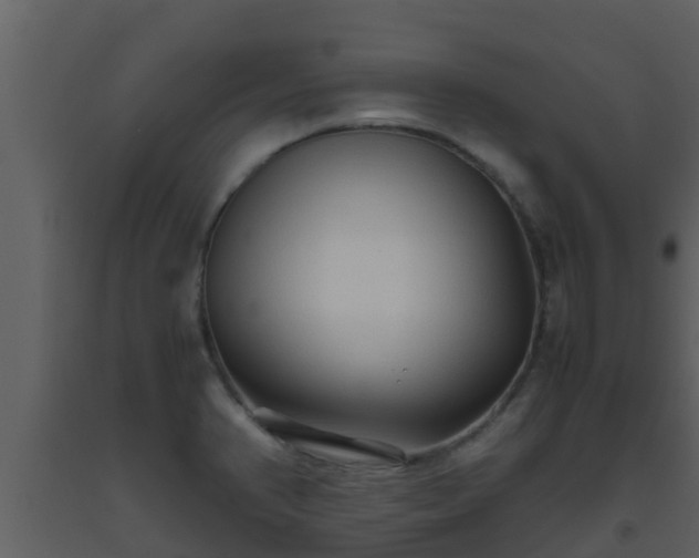 X0000093531374200710191344
