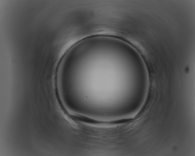 X0000093531375200710191344