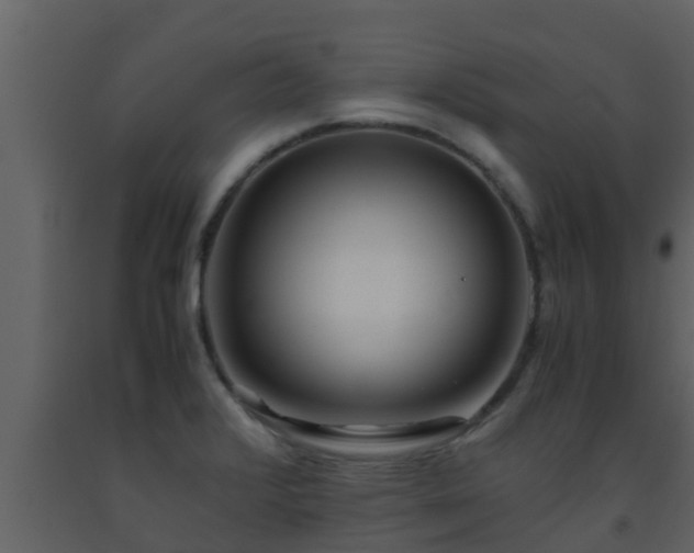 X0000093531376200710191344