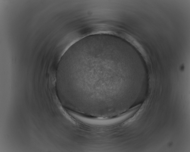 X0000093531377200710191344