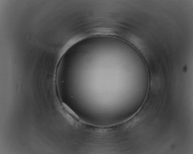 X0000093531378200710191344