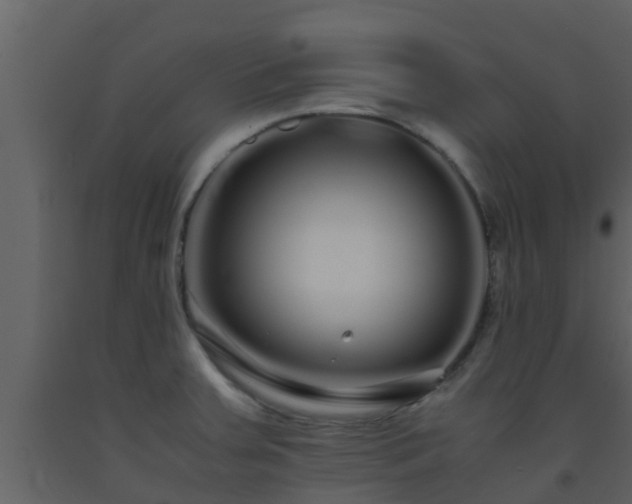 X0000093531379200710191344