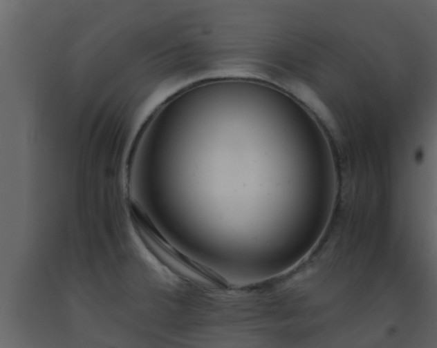 X0000093531380200710191344