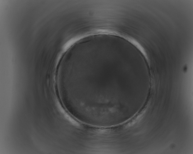 X0000093531381200710191344
