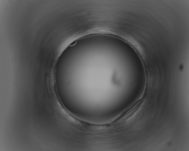 X0000093531382200710191344