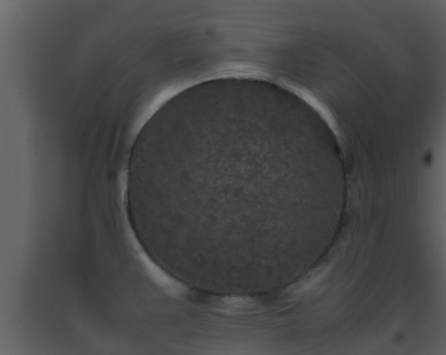 X0000093531383200710191344