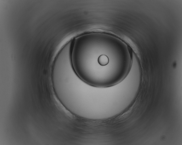 X0000093531384200710191344
