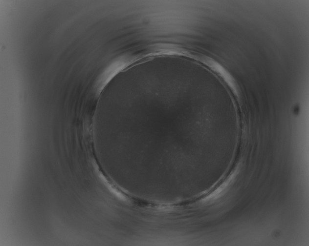 X0000093531385200710191344
