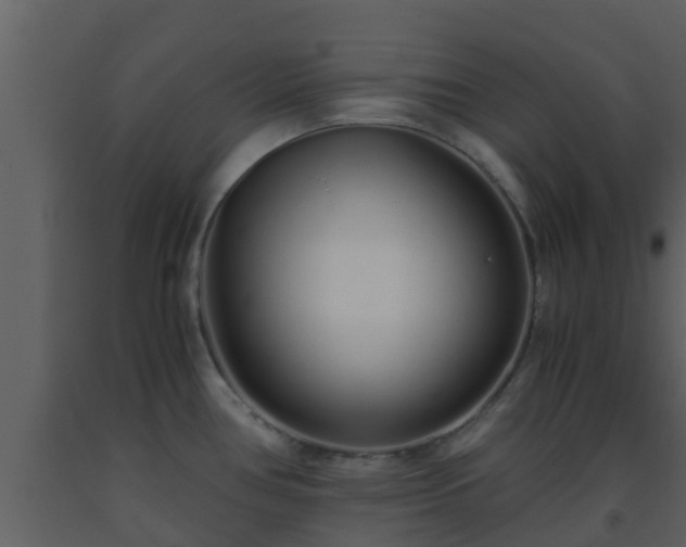 X0000093531386200710191344