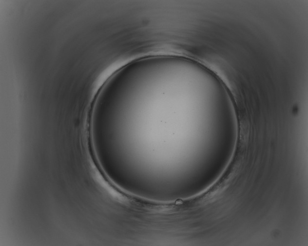 X0000093531387200710191344