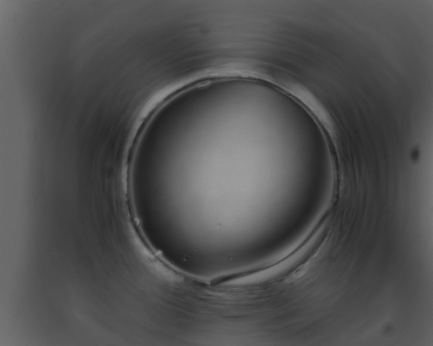 X0000093531388200710191344