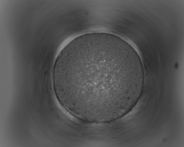 X0000093531389200710191344