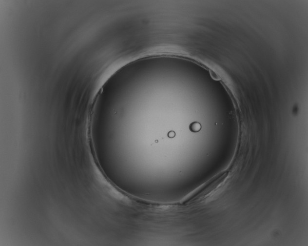 X0000093531390200710191344