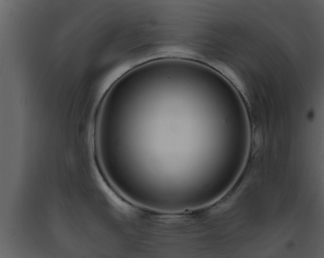 X0000093531391200710191344