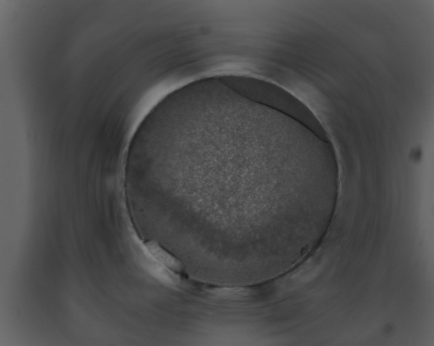 X0000093531392200710191344