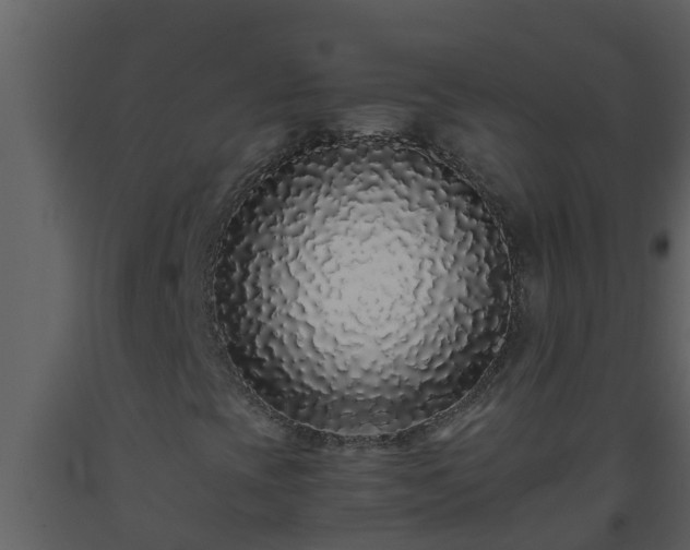 X0000093531393200710191343