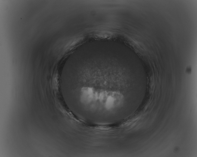 X0000093531394200710191343