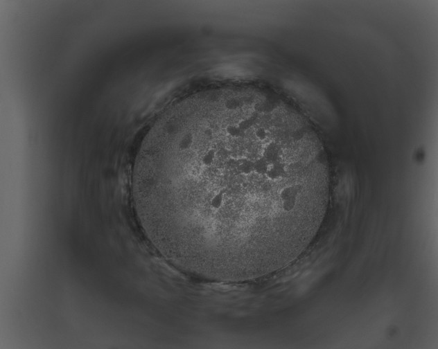 X0000093531397200710191343