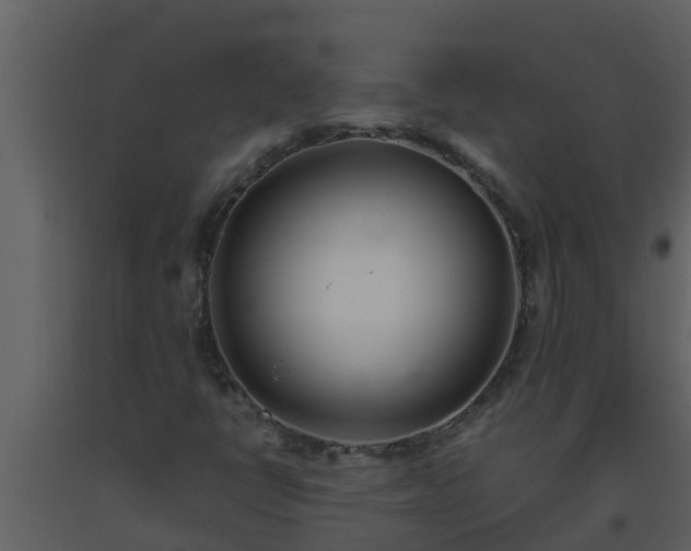 X0000093531398200710191343