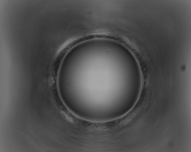 X0000093531400200710191343