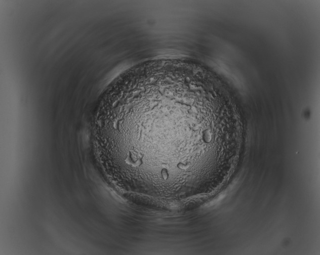 X0000093531401200710191343