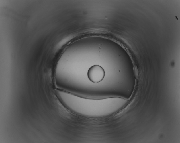 X0000093531402200710191343