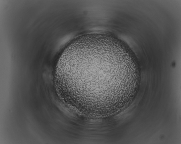 X0000093531403200710191343