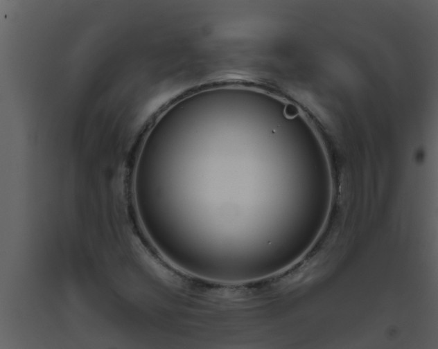 X0000093531404200710191343