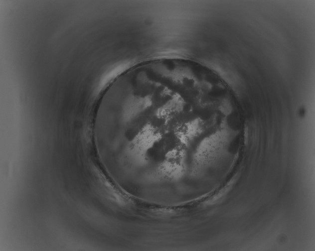 X0000093531405200710191343