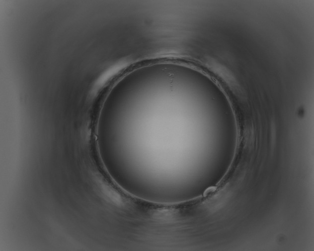 X0000093531406200710191343