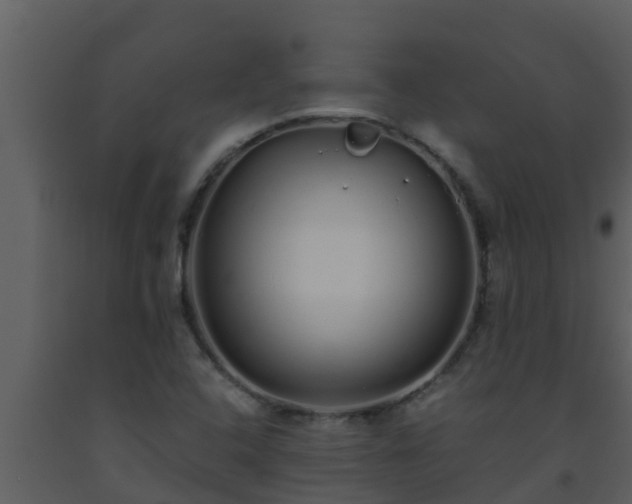 X0000093531408200710191344