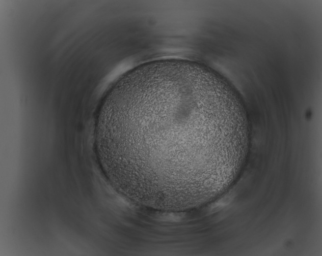 X0000093531411200710191344