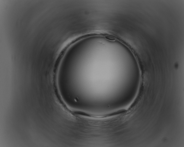 X0000093531412200710191344